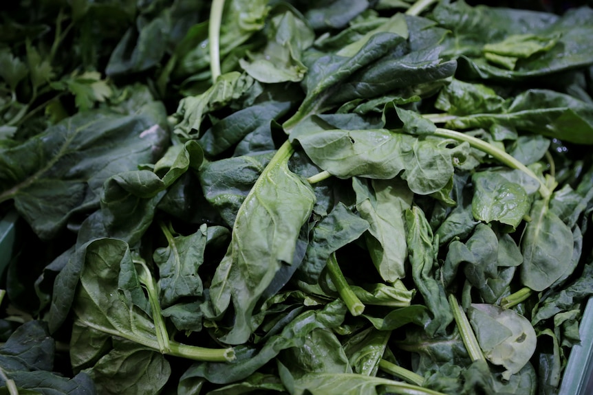 Spinach is on display at a shop of a food market in Vienna, Austria, April 19, 2016.