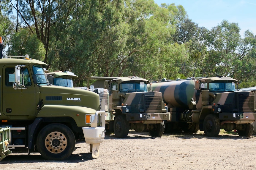 Four ex-army trucks lined up in a car park facing frontwards with gum trees behind them.