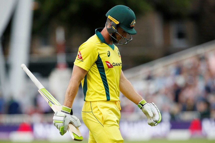 Tim Paine looks dejected after he is dismissed
