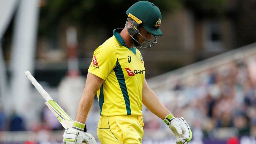 Tim Paine looks dejected after he is dismissed