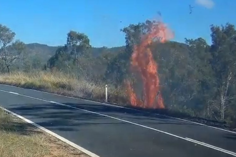 A fire flaring up on the side of a country highway beneath a clear sky.