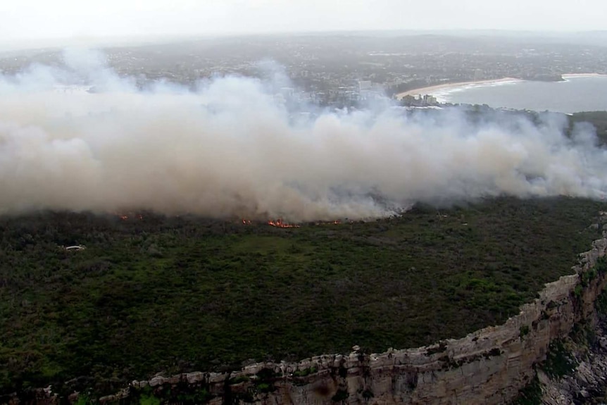 Smoke is seen covering the area