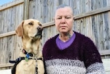 a woman kneels next to a labrador dog