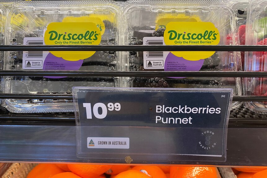 punnets of blackberries for sale with a $10.99 price tag