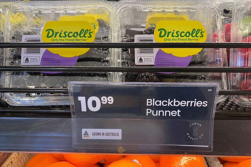 punnets of blackberries for sale with a $10.99 price tag