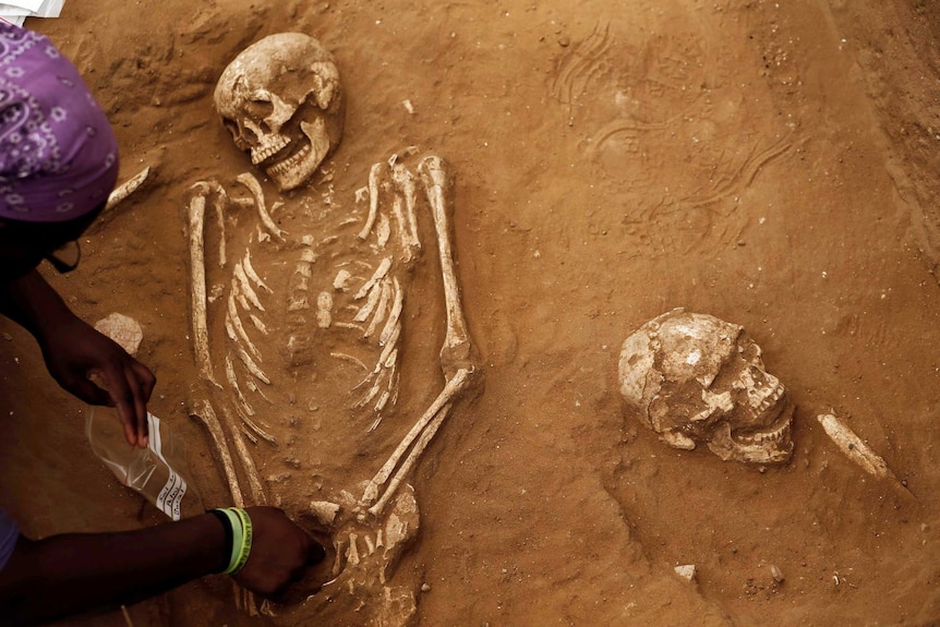 Skeletons of ancient Philistines excavated in Israel