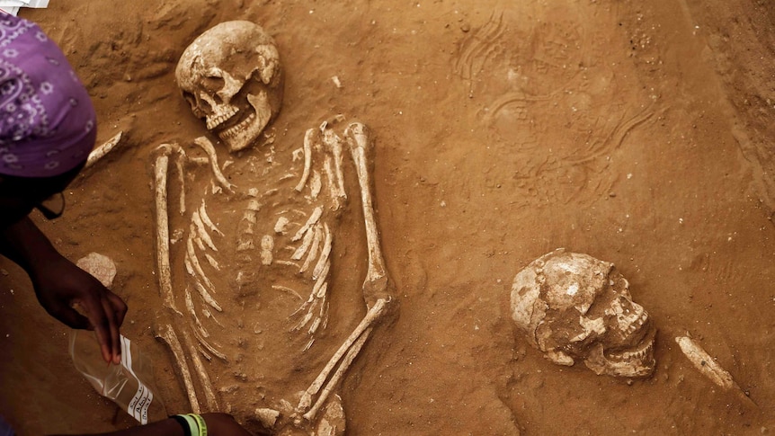 Skeletons of ancient Philistines excavated in Israel