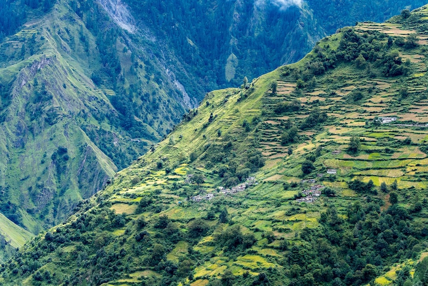 Scattered homes set among green crop palisades.