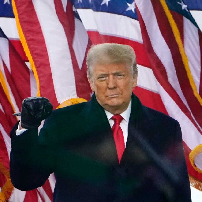 Trump, standing in front of a row of US flagss holds up a gloved fist to acknowledge a crowd