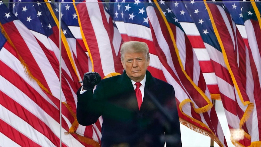 Trump, standing in front of a row of US flagss holds up a gloved fist to acknowledge a crowd