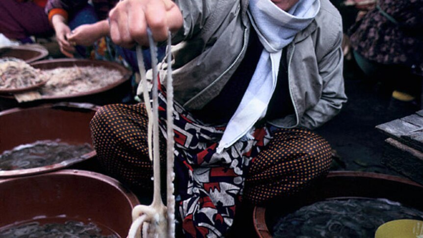 A Korean woman holds up an octopus