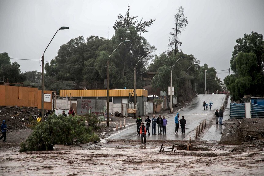 Chileans stand beside a flooded road after torrential rainfall in Copiapo city