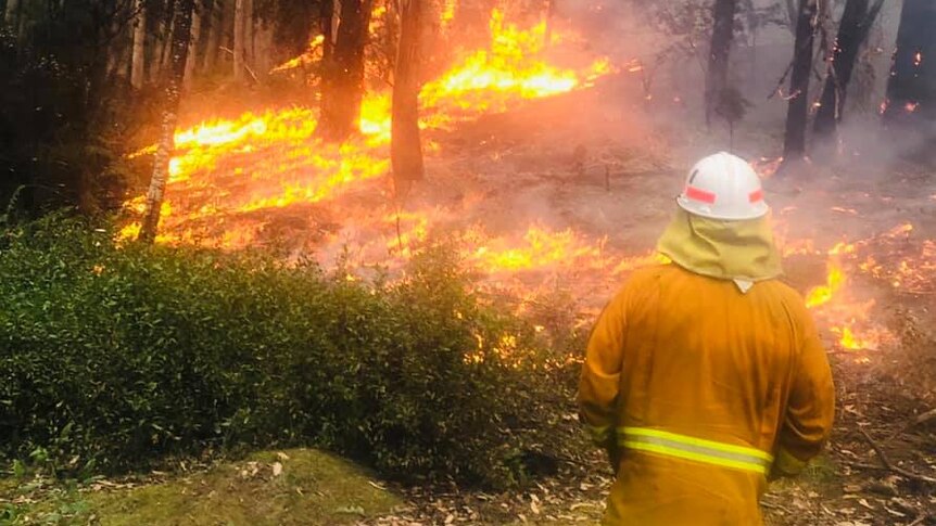 Firefighter in front of flames in Huon Valley.