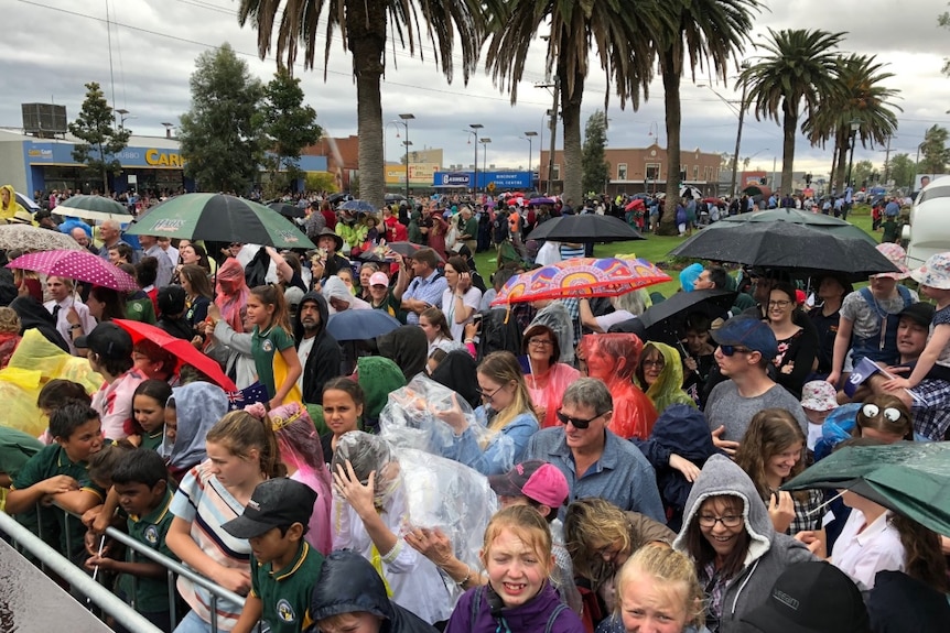 Dubbo tries to keep dry