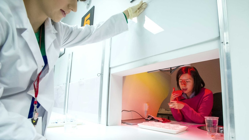 A woman tastes fat with her nose plugged in a sensory lab