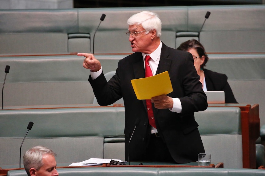 Bob Katter stands and points while holding a yellow envelope in the house of representatives