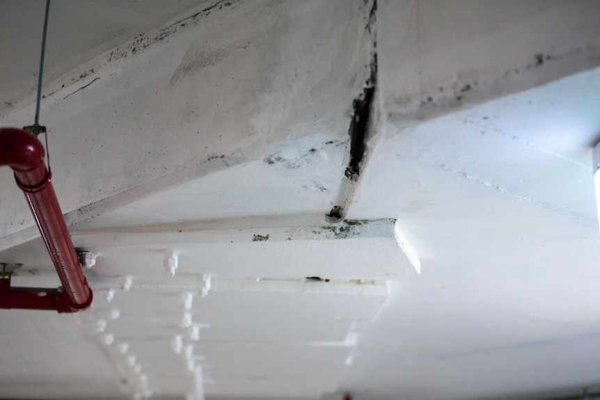 An image of a concrete roof with metal plates bolted on to it