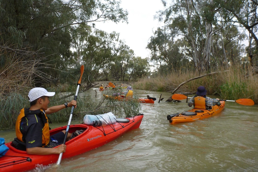 A group of kayakers paddling through a winding creek in red and orange canoes.