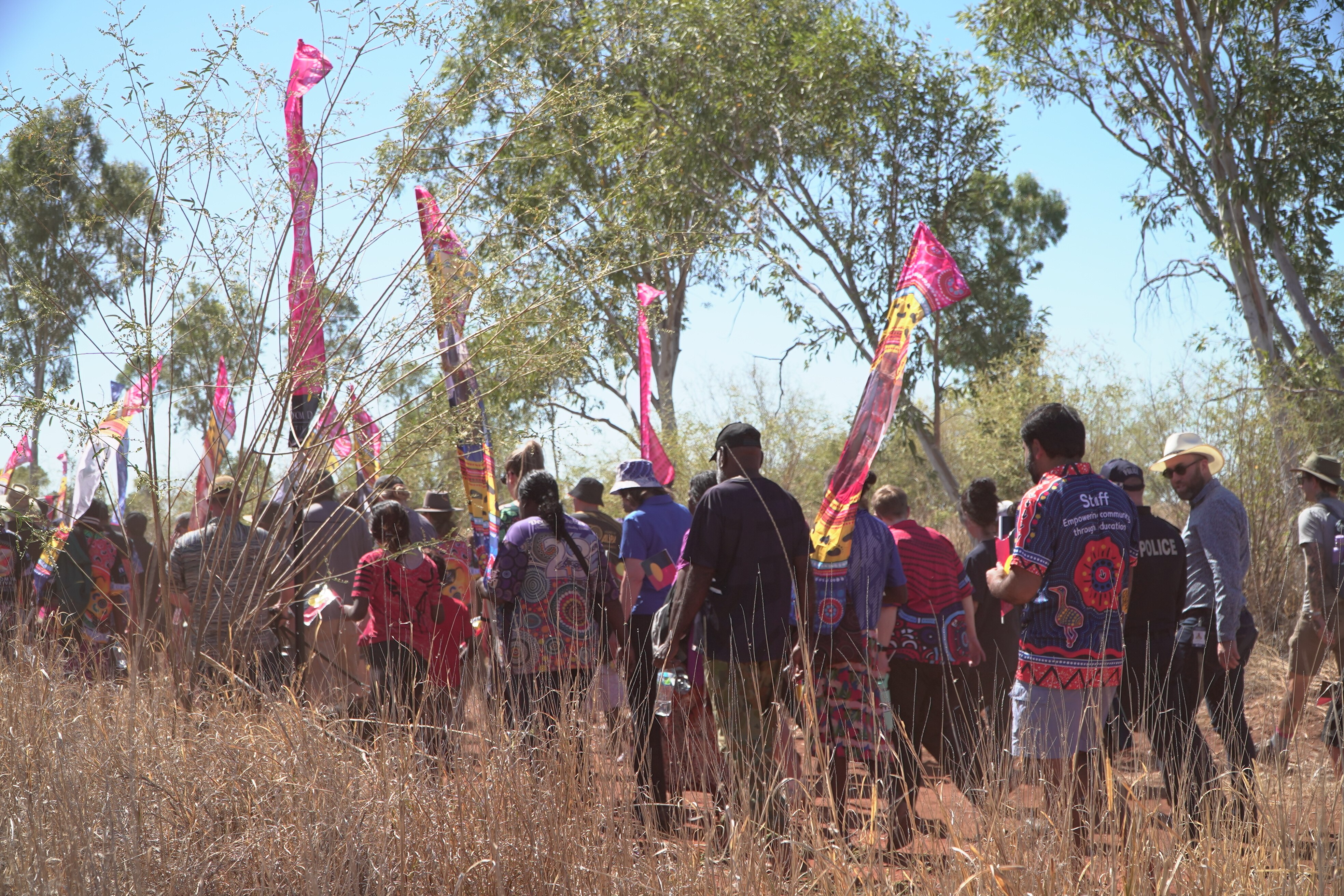 A group of people in purple, red, pink shirts walking in grassy bush. Shot of them from the back.