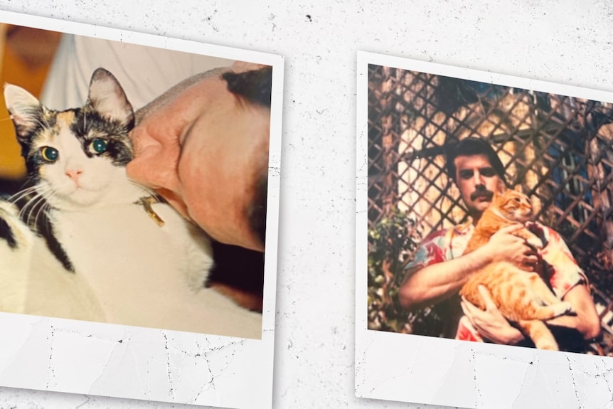 Two photographs if a man holding a cat