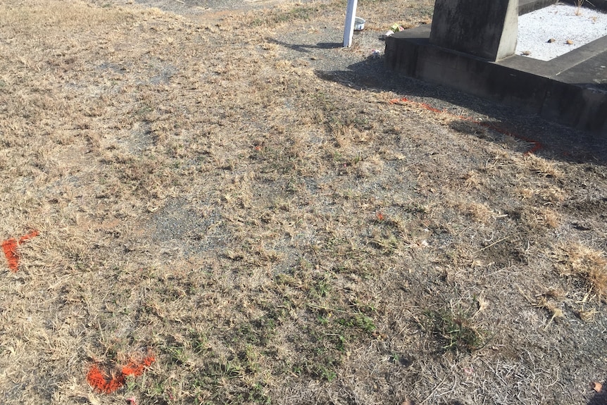 An unmarked grave in a cemetery