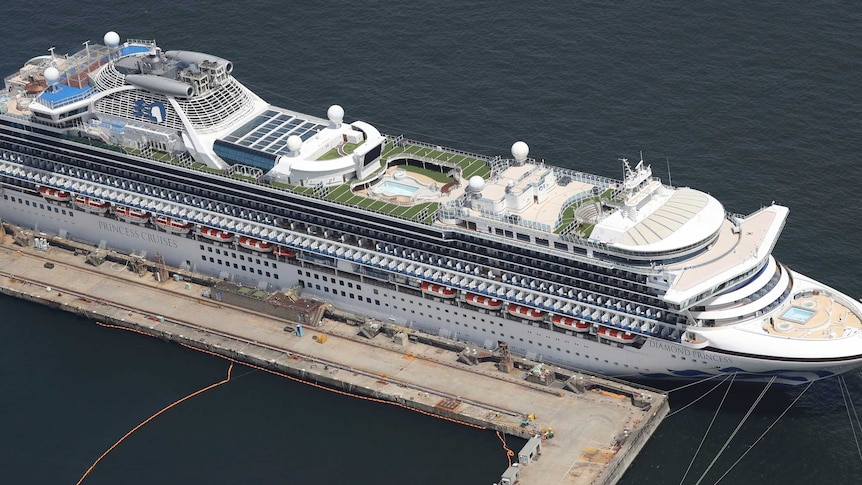 An aerial photo shows cruise ship Diamond Princess in Yokohama City