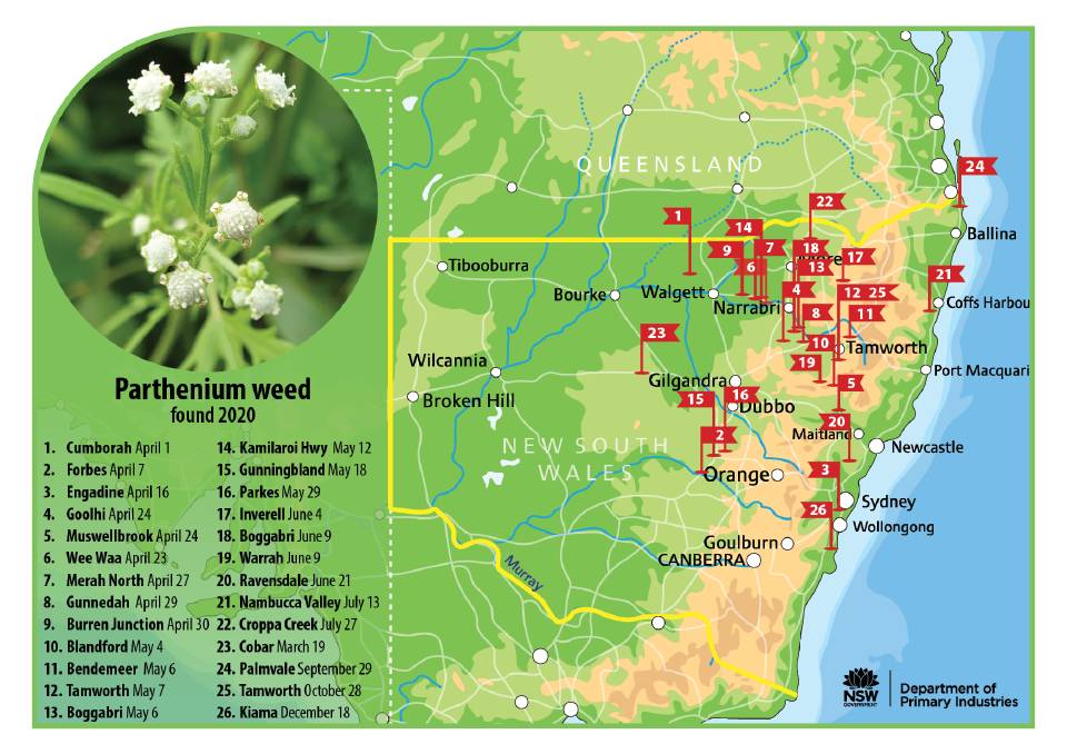 Map of parthenium weed in NSW.