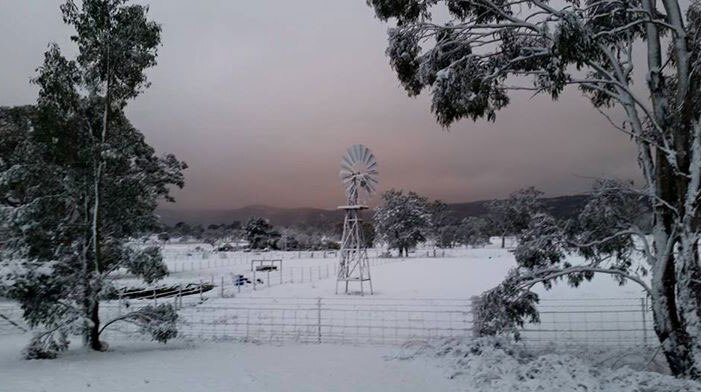 Snow at Wallangarra, south of Stanthorpe