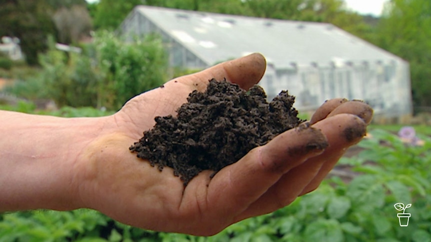 Hand holding soil