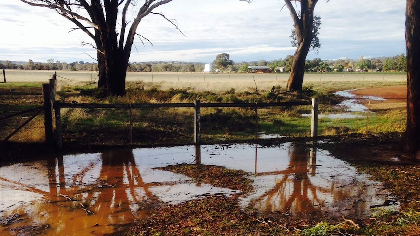 Drought breaks image