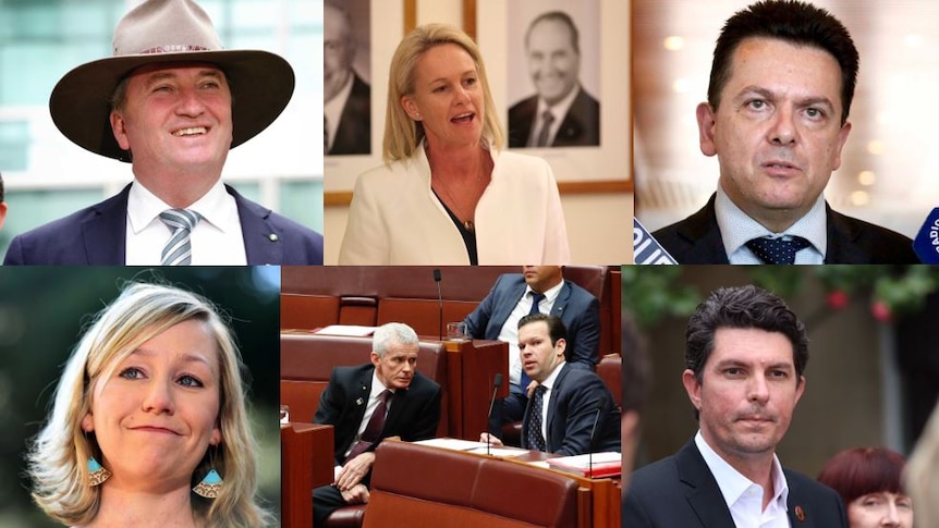 Clockwise from top of Barnaby Joyce, Fiona Nash, Nick Xenophon, Scott Ludlam, Matt Canavan, Malcolm Roberts, Larissa Waters