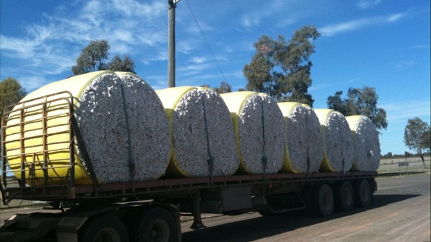 2011 has been a record-breaking harvest for Australian cotton farmers.