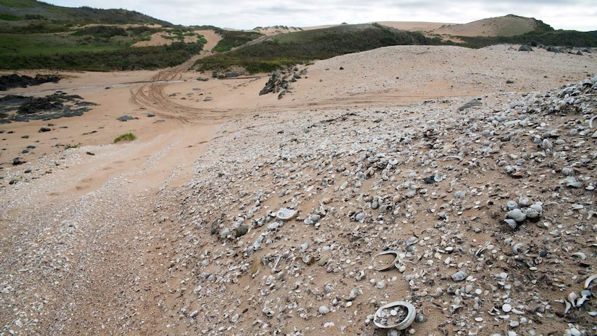 Midden overrun by recreation vehicles