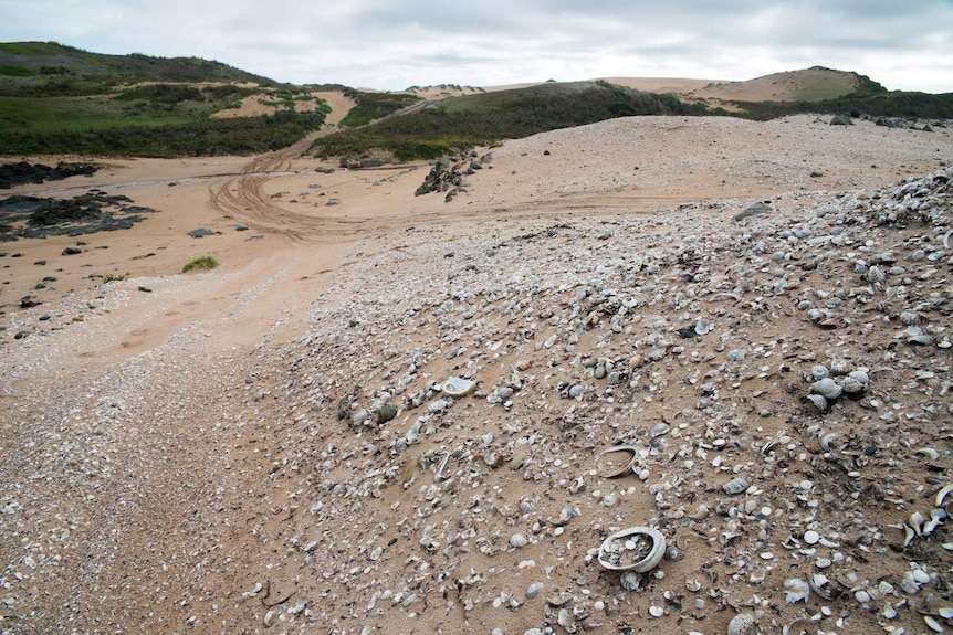 Midden overrun by recreation vehicles