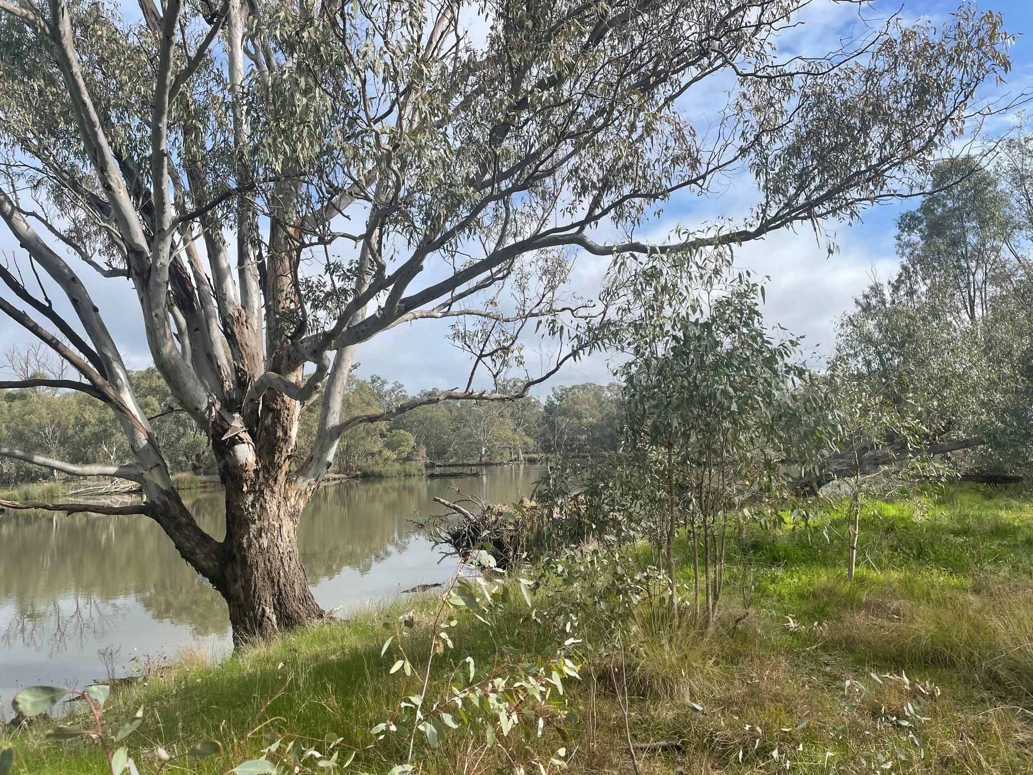 AlburyWodonga walking trail celebrates Aboriginal culture through