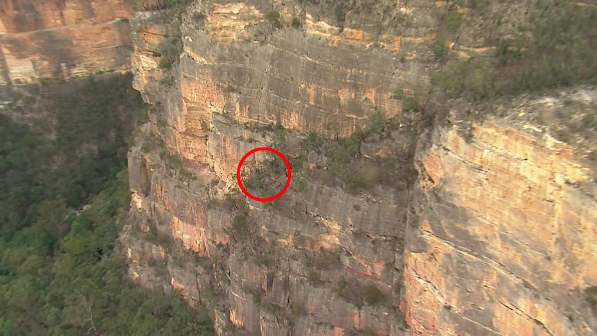 A graphic showing a red circle on the side of a cliff
