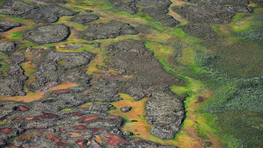 Aerial view of permafrost peatlands in the Arctic