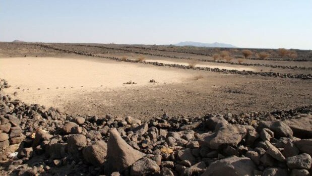 View of a desert landscape in Saudi Arabia with long rows of rocks.