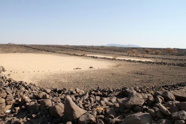View of a desert landscape in Saudi Arabia with long rows of rocks.
