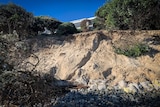 A collapsed sand dune in the foreground with a sign showing the nearby Beach cafe.