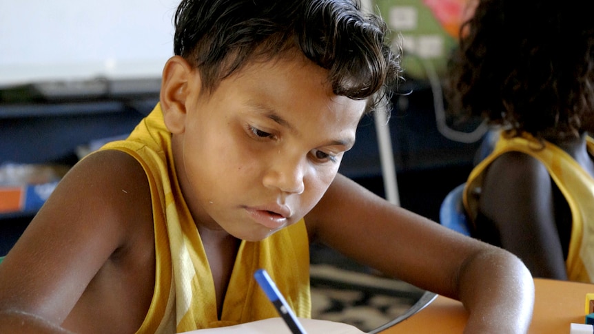 A young boy concentrates on his school work. 
