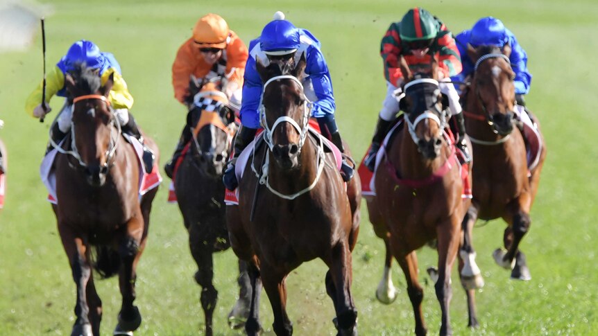 Jockey Hugh Bowman rides Winx to victory in the George Main Stakes at Royal Randwick.