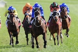 Jockey Hugh Bowman rides Winx to victory in the George Main Stakes at Royal Randwick.