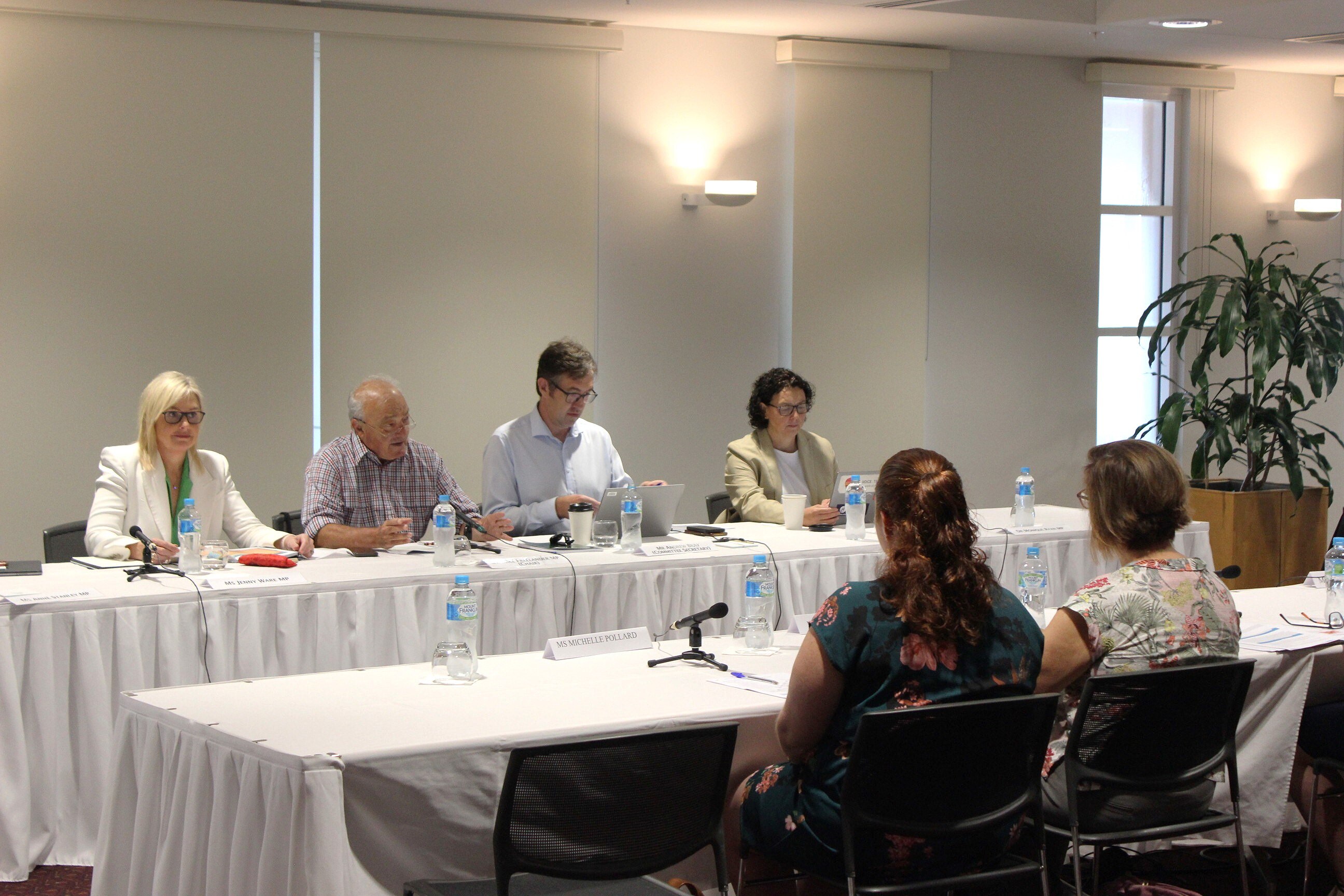 a number of people sit at a table duirng a parliamentary inquiry into diabetes in australia