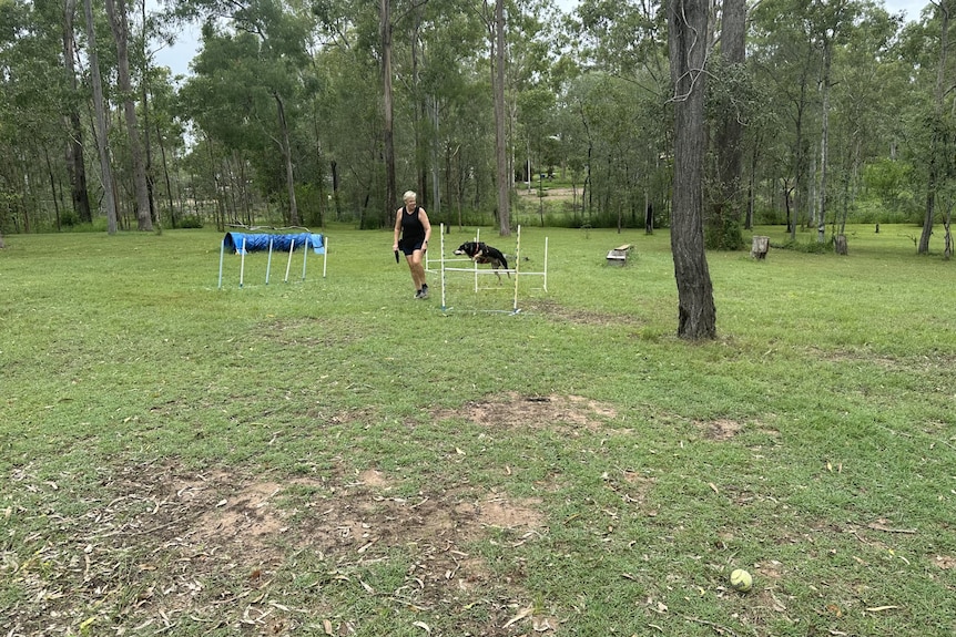 mujer con perro saltando obstáculo