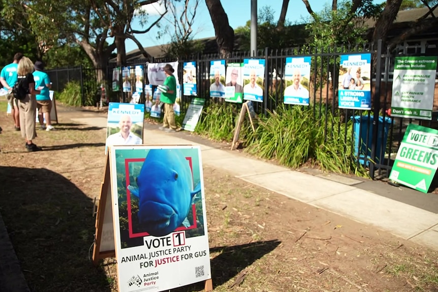 People hand out by-election material outside a public school in the seat of Cook