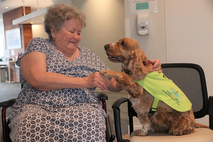 An elderly woman pats a dog. 