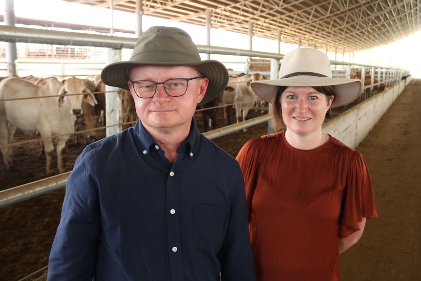 A man and a woman wearing broad-brimmed hats stand beside a pen containing cows in a big shed.