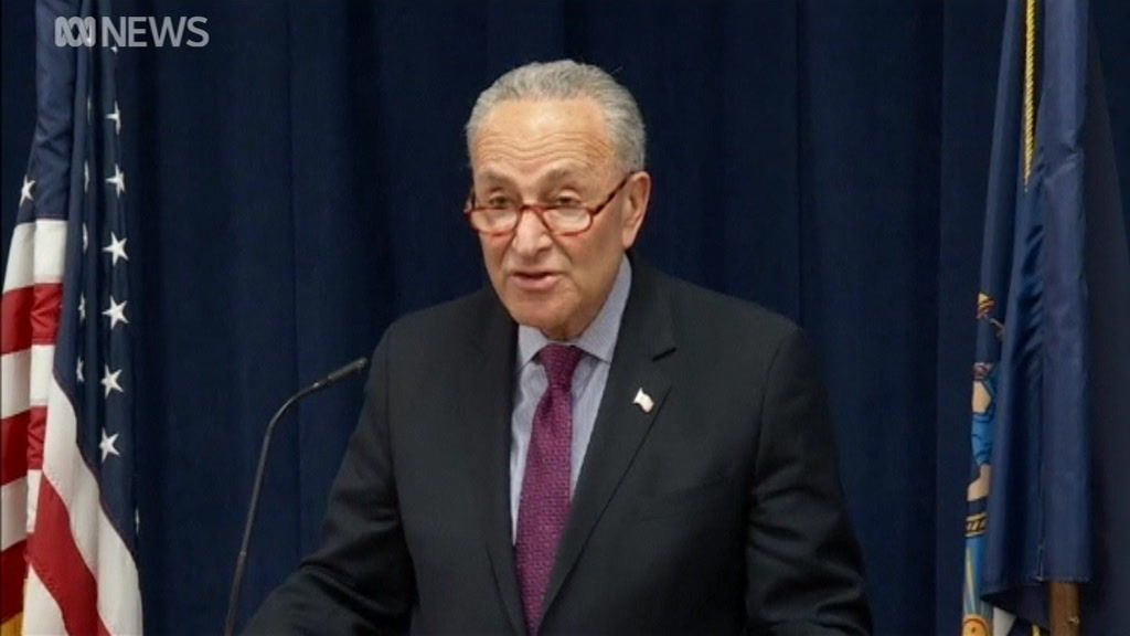 US Senator Chuck Schumer calls for public release of report - ABC News