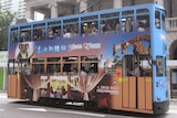 Mudgee on Hong Kong trams